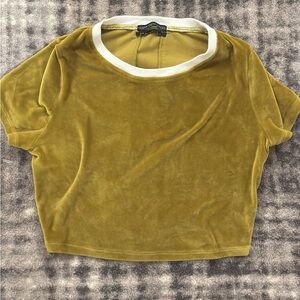 Urban outfitters Velvet Olive Green Crop Top
